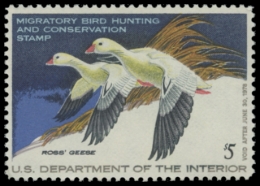 Picture of RW44 1977 Duck Stamp 