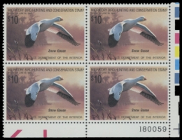 Picture of RW55 1988 Duck Stamp 