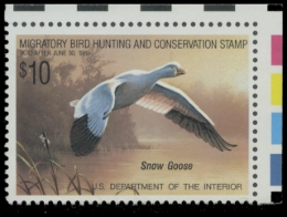 Picture of RW55 1988 Duck Stamp 