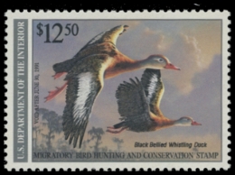 Picture of RW57 1990 Duck Stamp 