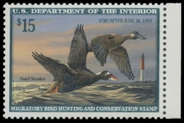 Picture of RW63 1996 Duck Stamp 