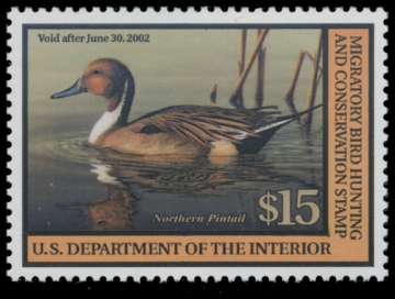 Picture of RW68 2001 Duck Stamp. MNH