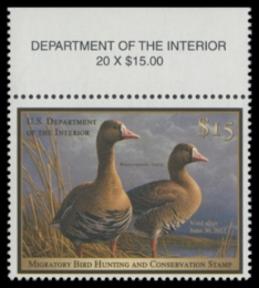 Picture of RW78 2011 Duck Stamp. MNH