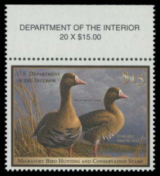 Picture of RW78 2011 Duck Stamp 