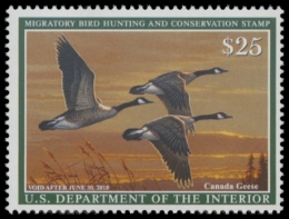 Picture of RW84 2017 Duck Stamp