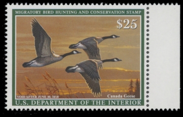 Picture of RW84 2017 Duck Stamp 