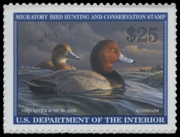 Picture of RW89 2022 Duck Stamp