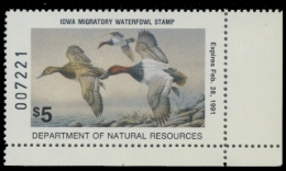 Picture of 1990 Iowa Duck Stamp