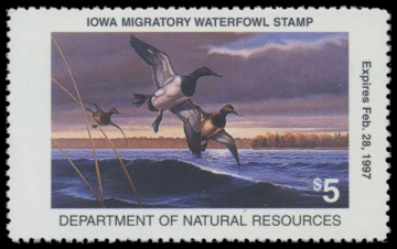 Picture of 1996 Iowa Duck Stamp