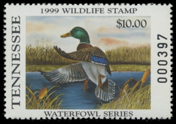 Picture of 1999 Tennessee Duck Stamp