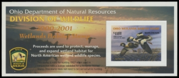 Picture of 2000 Ohio Duck Stamp