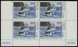 Picture of 1987 Maine Duck Stamps. Plate Block of 4