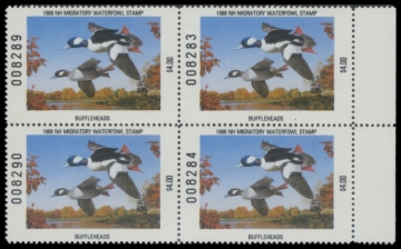 Picture of 1988 New Hampshire Duck Stamps. Block of 4