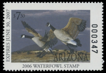 Picture of 2006 Arizona Duck Stamp