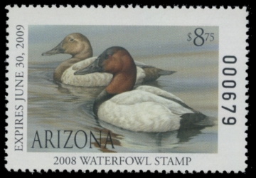 Picture of 2008 Arizona Duck Stamp