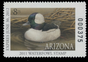Picture of 2011 Arizona Duck Stamp