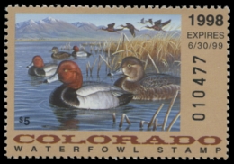 Picture of 1998 Colorado Duck Stamp