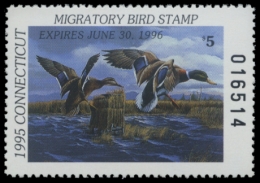 Picture of 1995 Connecticut Duck Stamp