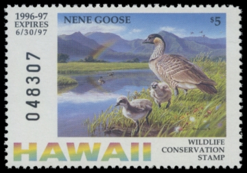 Picture of 1996 Hawaii Duck Stamp - First of State
