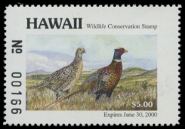 Picture of 1999 Hawaii Duck Stamp