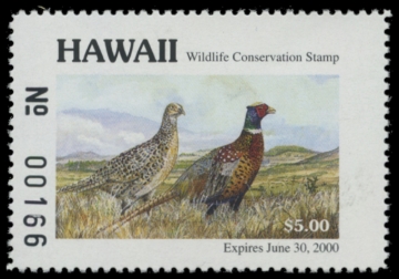 Picture of 1999 Hawaii Duck Stamp