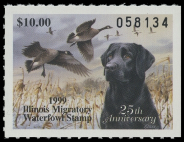 Picture of 1999 Illinois Duck Stamp