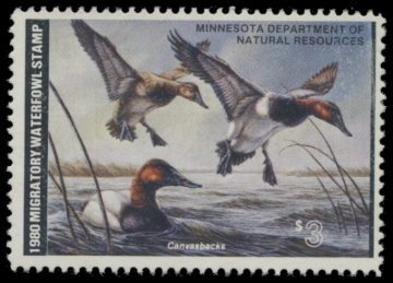 Picture of 1980 Minnesota Duck Stamp
