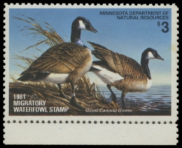 Picture of 1981 Minnesota Duck Stamp