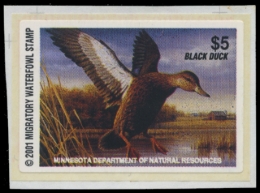 Picture of 2001 Minnesota Duck Stamp