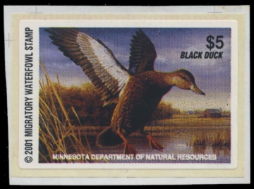 Picture of 2001 Minnesota Duck Stamp