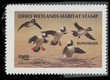 Picture of 1993 Ohio Duck Stamp