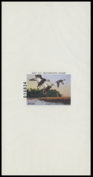 Picture of 2001 North Carolina Duck Stamp
