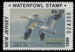 Picture of 1989 New Jersey Duck Stamp