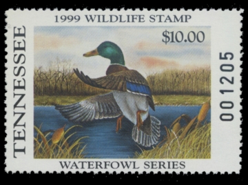 Picture of 1999 Tennessee Duck Stamp