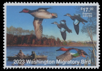 Picture of 2023 Washington Duck Stamp