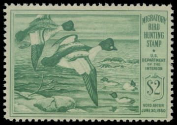 Picture of RW16 1949 Duck Stamp 