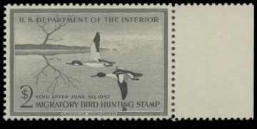 Picture of RW23 1956 Duck Stamp 