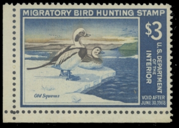 Picture of RW34 1967 Duck Stamp 