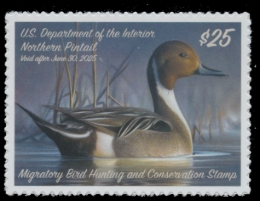 Picture of RW91 2024 Duck Stamp