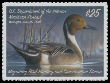 Picture of RW91 2024 Duck Stamp