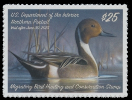 Picture of RW91 2024 Duck Stamp