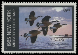 Picture of 1985 New York Duck Stamp - First of State