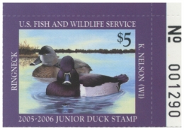 Picture of JDS13 2005 Duck Stamp