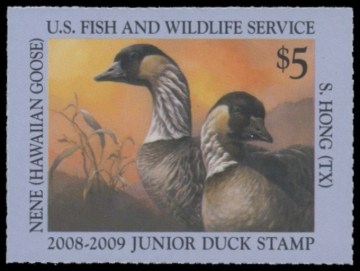 Picture of JDS16 2008 Duck Stamp 