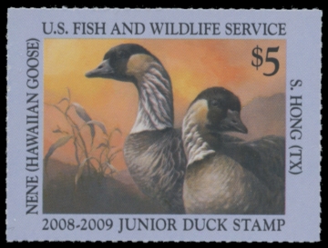 Picture of JDS16 2008 Duck Stamp 