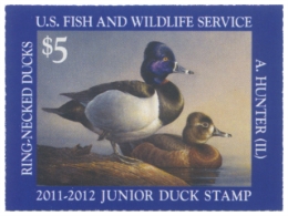 Picture of JDS19 2011 Duck Stamp 