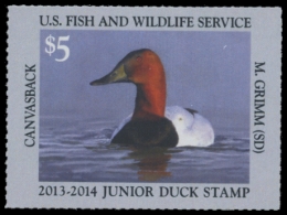 Picture of JDS21 2013 Duck Stamp 