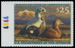 Picture of RW92 2025 Duck Stamp