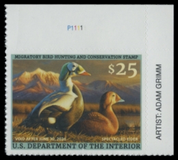 Picture of RW92 2025 Duck Stamp