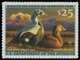Picture of RW92 2025 Duck Stamp